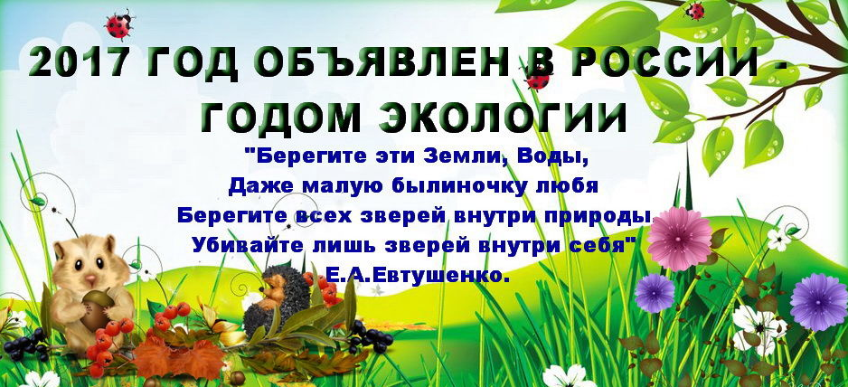 Снимок55555555555.PNG