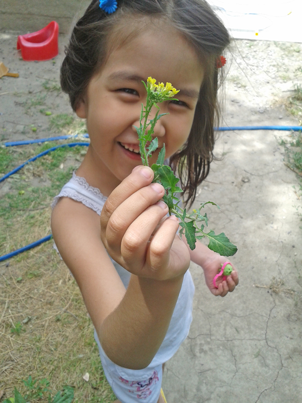 20140605_135011.jpg